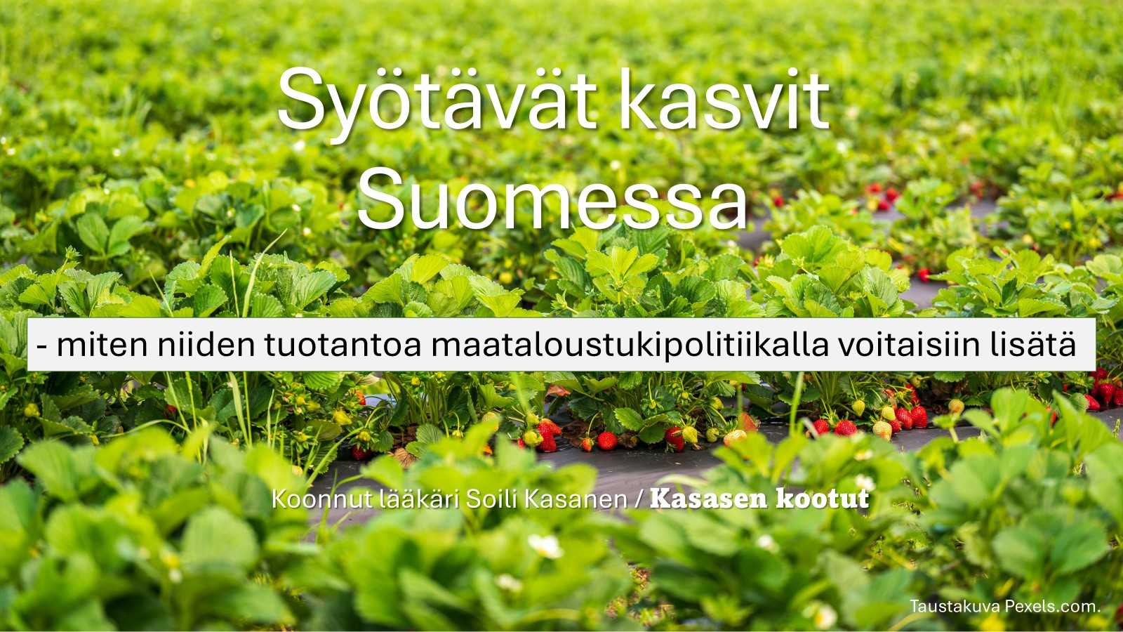 Syötävät kasvit Suomessa
