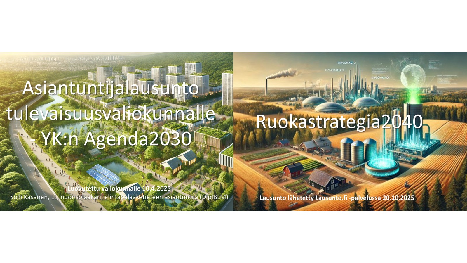 Asiantuntijalausunto YK:n Agenda2030 & lausunto Ruokastrategia2040