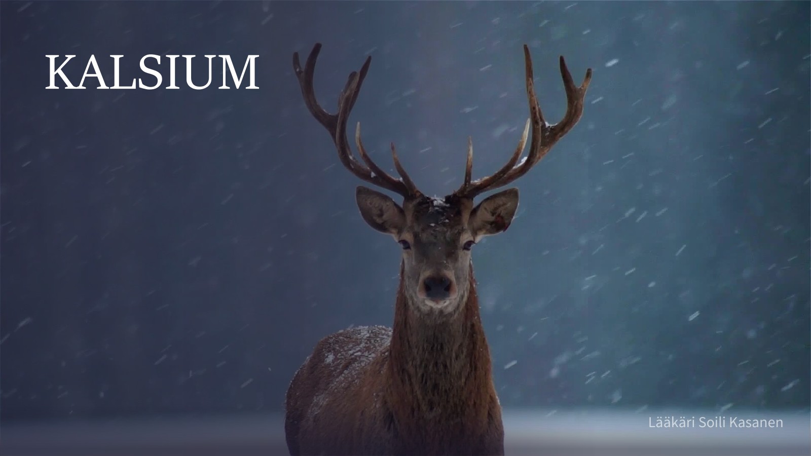 Ravintotekijä – KALSIUM